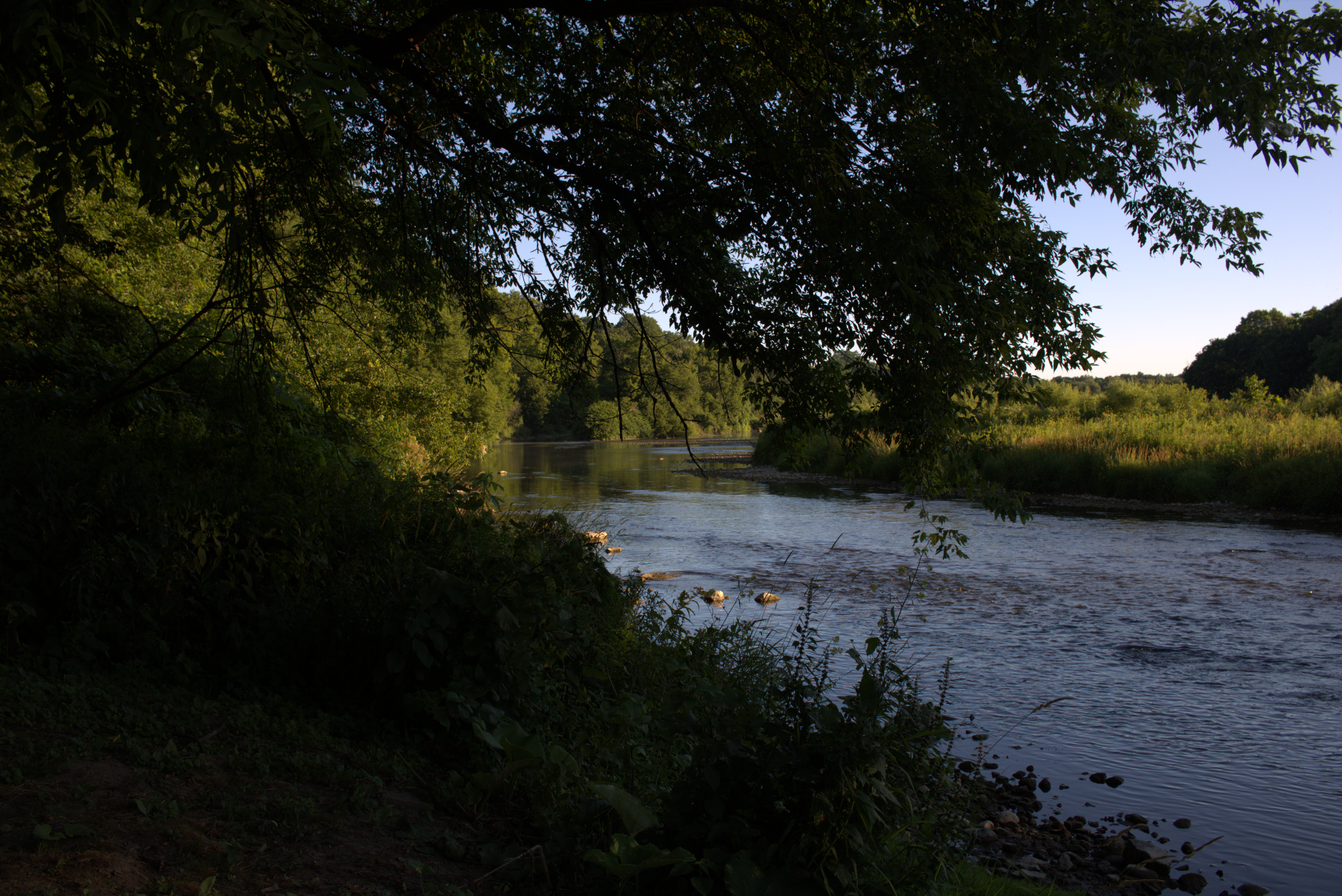 Dawood&apos;s Reflection on DTL 2025